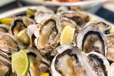 Fauteuils en rotin avec coussins blancs disposés dans un cadre naturel entouré d'arbres et de végétation.