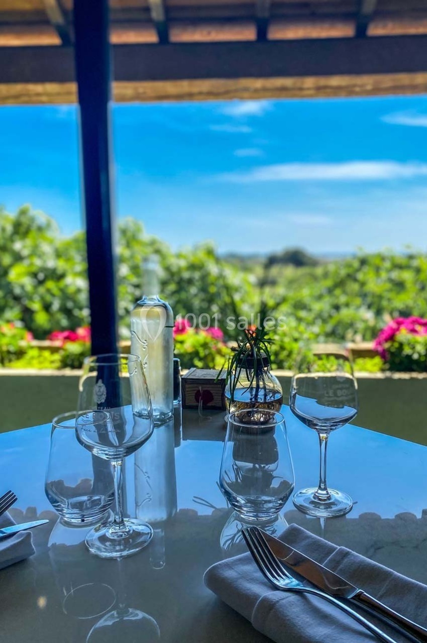 Table dressée avec verres, couverts et bouteille d'eau, donnant sur une terrasse avec vue sur des vignes et des fleurs.