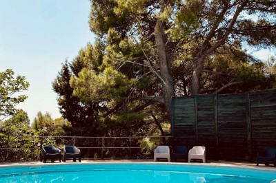 Fauteuils en rotin avec coussins blancs disposés dans un cadre naturel entouré d'arbres et de végétation.