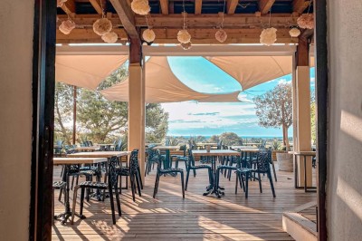 Fauteuils en rotin avec coussins blancs disposés dans un cadre naturel entouré d'arbres et de végétation.