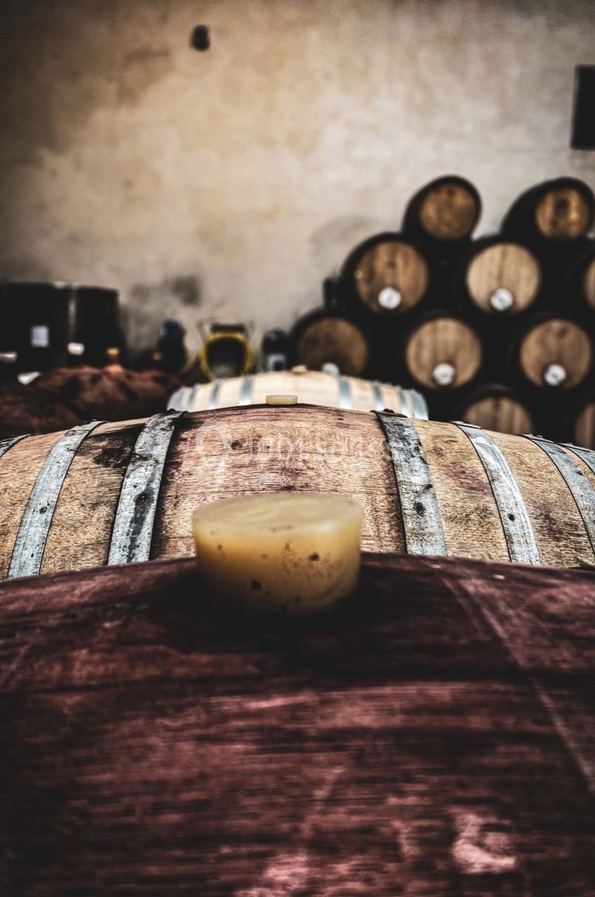 Vue rapprochée d'un tonneau en bois avec une bonde, entouré de plusieurs autres tonneaux dans une cave.