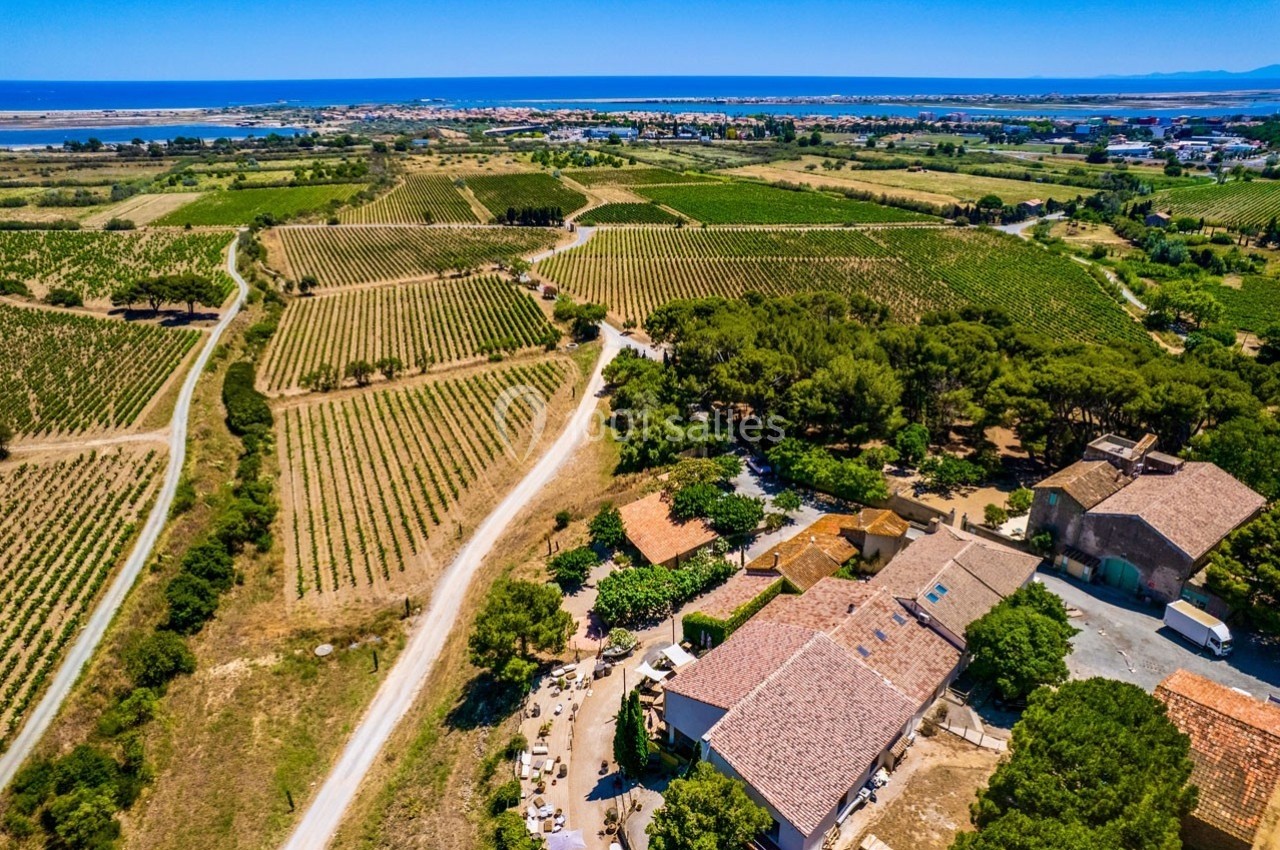 Vue aérienne d'un domaine viticole entouré de vignes, avec un village et la mer visibles à l'horizon.