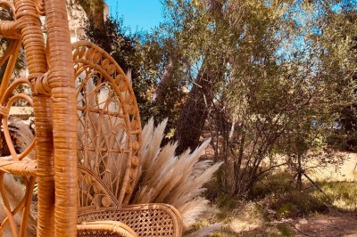Fauteuils en rotin avec coussins blancs disposés dans un cadre naturel entouré d'arbres et de végétation.