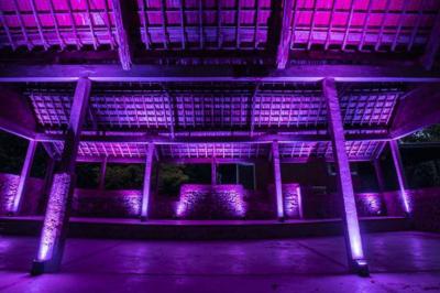 Salle voûtée avec colonnes en pierre, décorée de guirlandes végétales et éclairée par des lumières rouges et un DJ en…