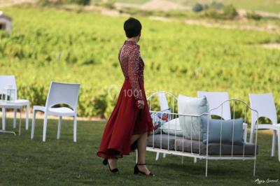 Location salle Odenas (Rhône) - L'Ermitage de Brouilly #31