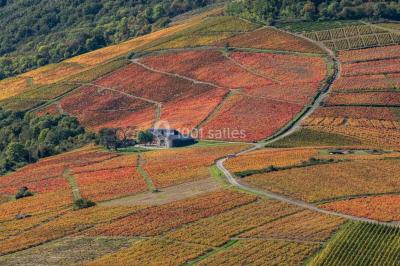 Location salle Odenas (Rhône) - L'Ermitage de Brouilly #31
