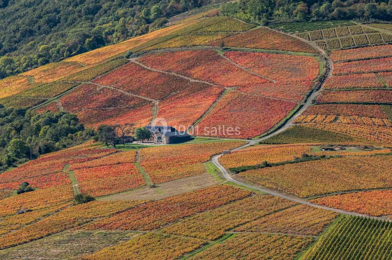 Location salle Odenas (Rhône) - L'Ermitage de Brouilly #2