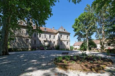 Location salle Saint-Forgeot (Saône-et-Loire) - Château de Millery #18