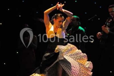 Location salle Arles (Bouches-du-Rhône) - El Patio #8