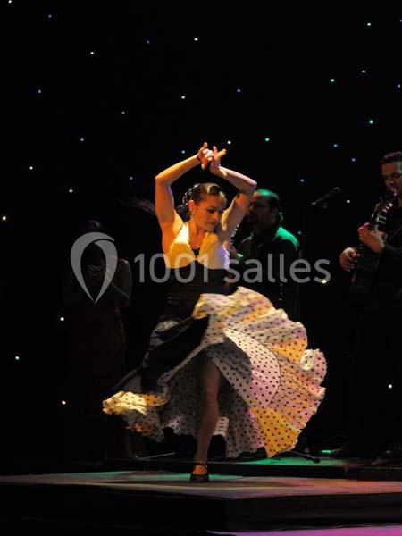 Location salle Arles (Bouches-du-Rhône) - El Patio #7