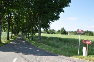 Location salle Francheleins (Ain) - Domaine d'Amareins #71