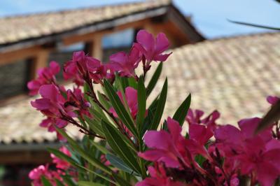 Location salle Francheleins (Ain) - Domaine d'Amareins #71