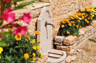 Location salle Francheleins (Ain) - Domaine d'Amareins #71