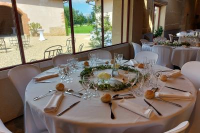 Location salle Francheleins (Ain) - Domaine d'Amareins #71