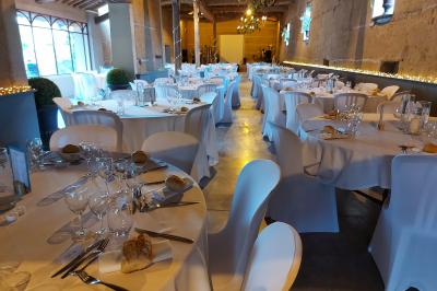 Location salle Francheleins (Ain) - Domaine d'Amareins #71