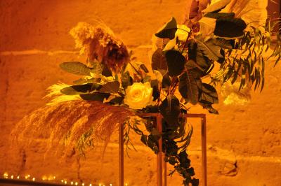 Location salle Francheleins (Ain) - Domaine d'Amareins #71