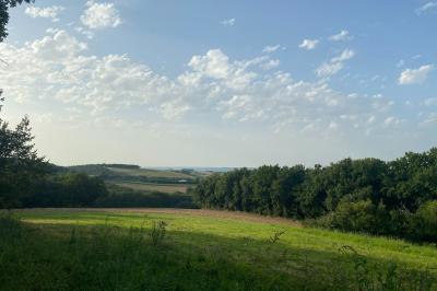 Un couple dans une voiture ancienne quitte un bâtiment entouré de verdure par une journée ensoleillée.