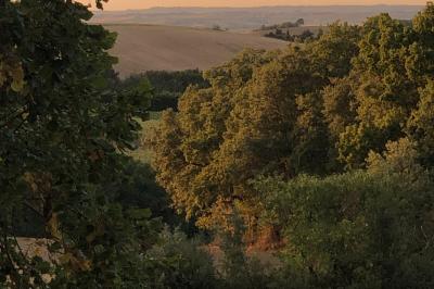 Un couple dans une voiture ancienne quitte un bâtiment entouré de verdure par une journée ensoleillée.