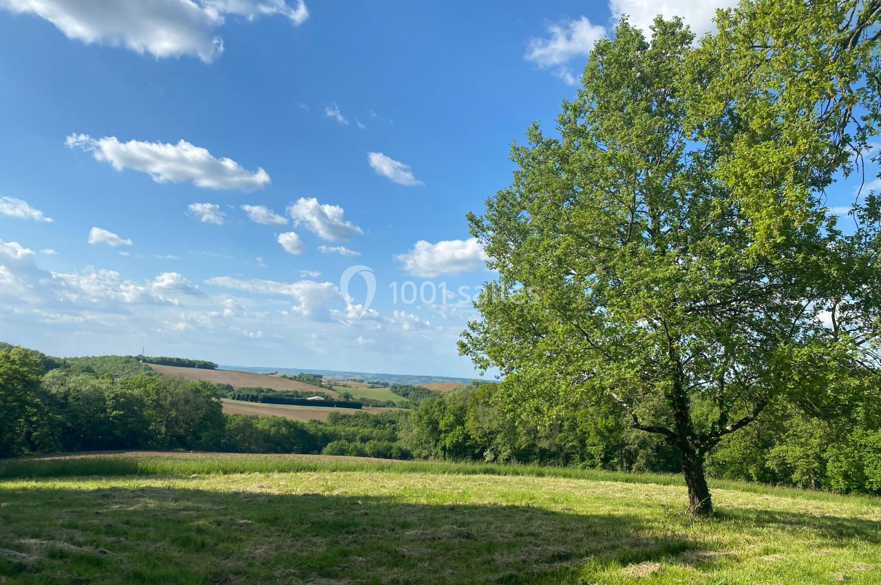 Prairie verdoyante avec un grand arbre à droite, sous un ciel bleu parsemé de nuages, entourée de collines boisées.
