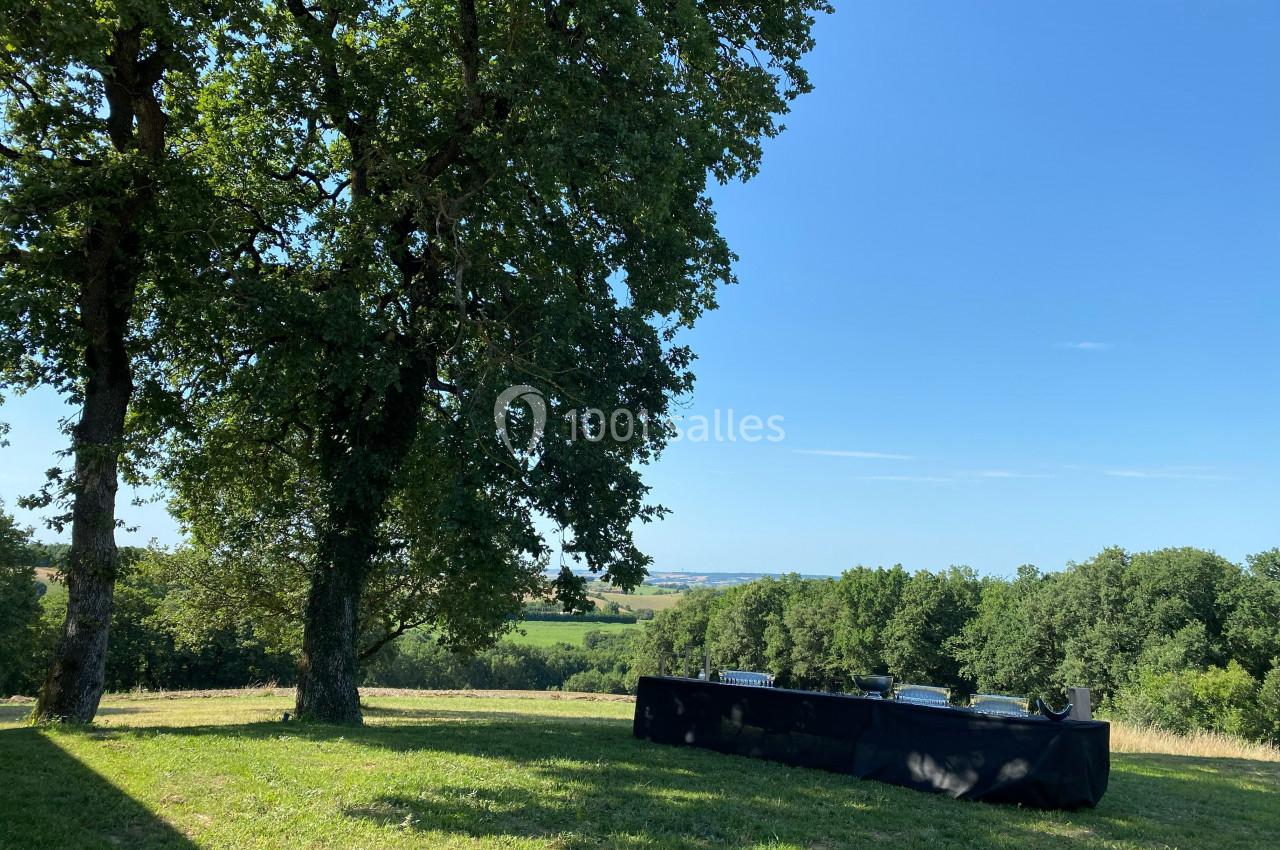 Deux grands arbres sur une pelouse ensoleillée avec une table noire en arrière-plan, vue sur la campagne.