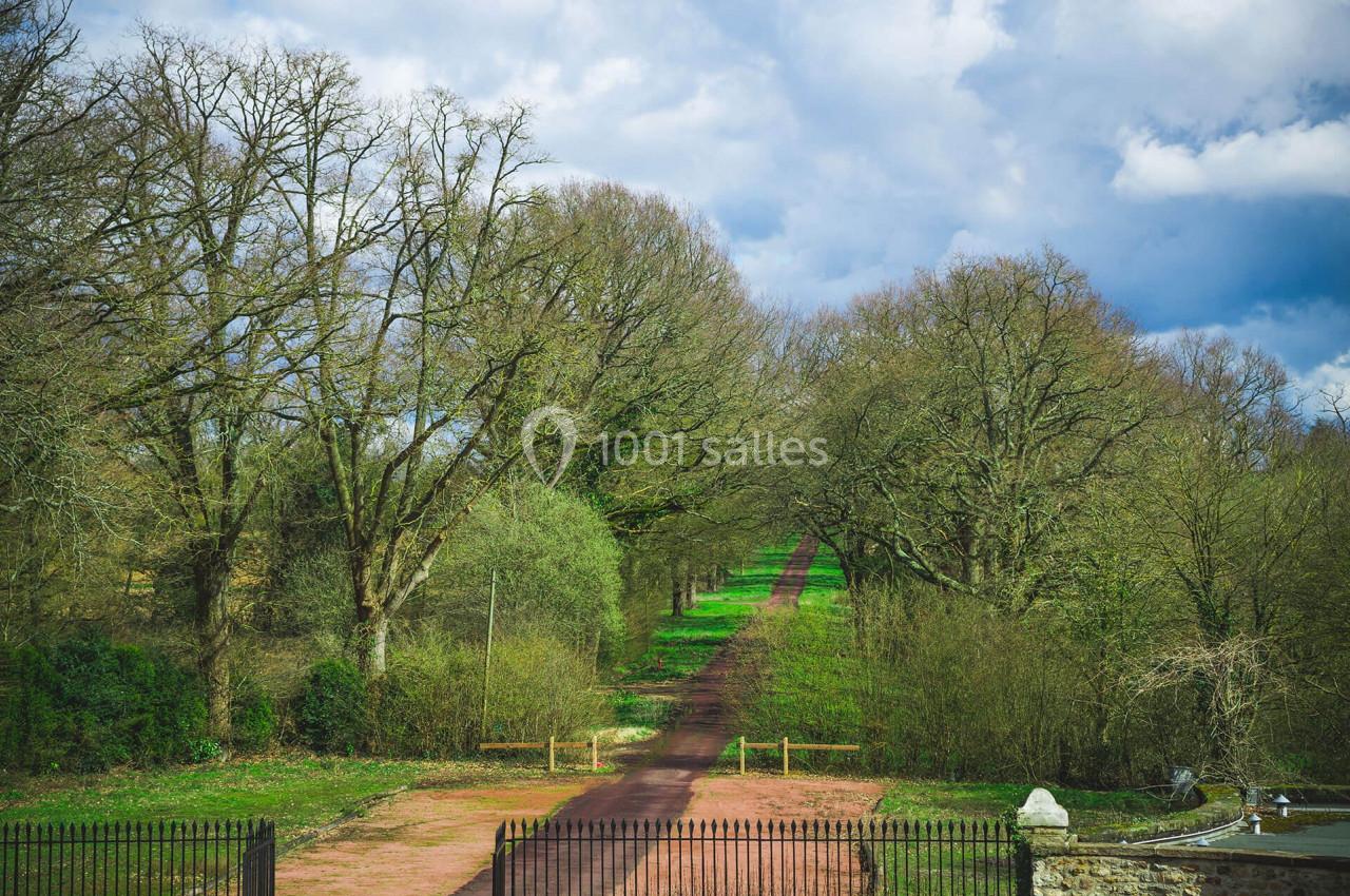 Allée bordée d'arbres menant à une forêt, avec un ciel partiellement nuageux en arrière-plan.