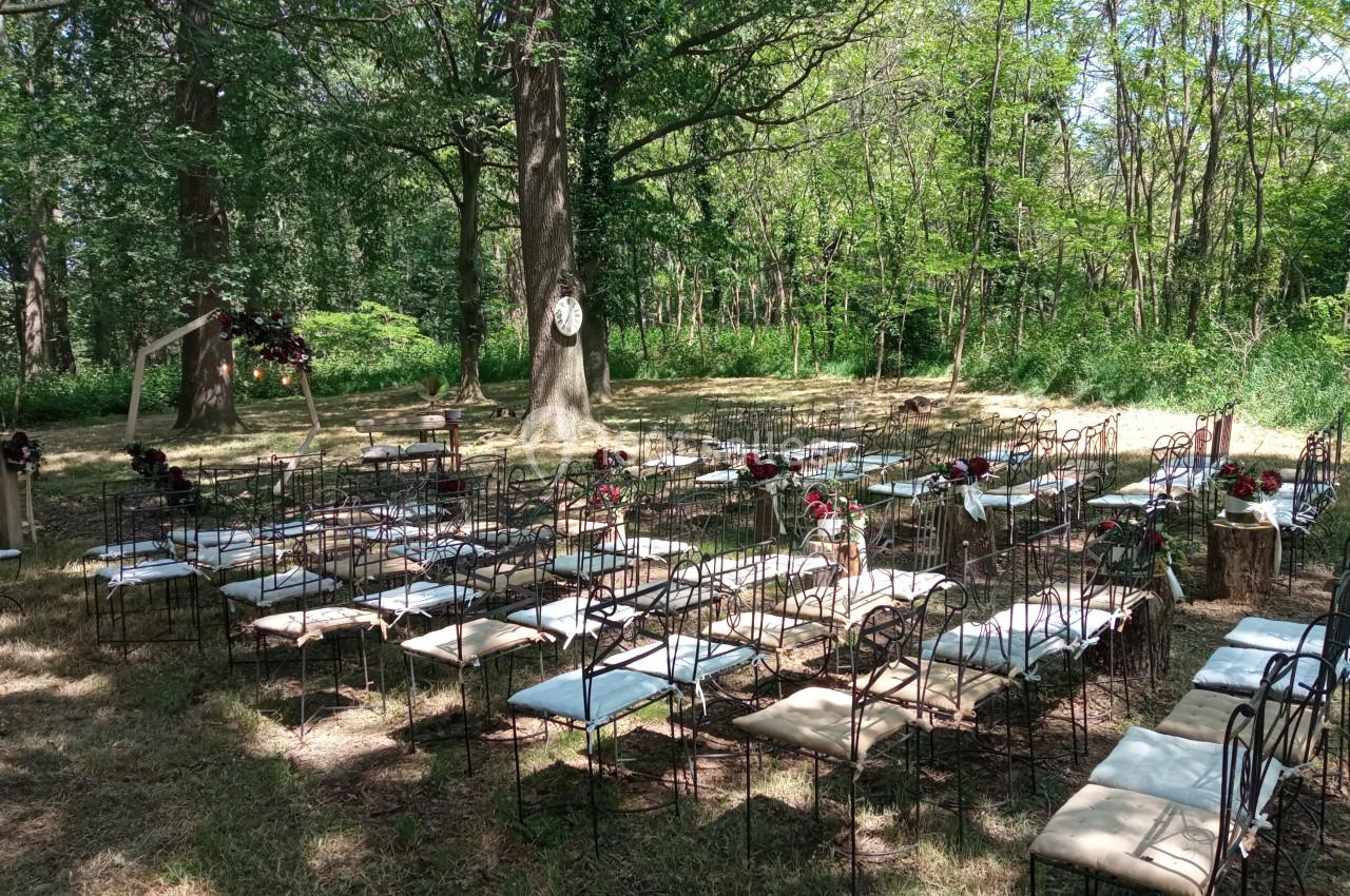 Chaises alignées en extérieur dans une clairière boisée, décorées de fleurs pour une cérémonie ou un événement.