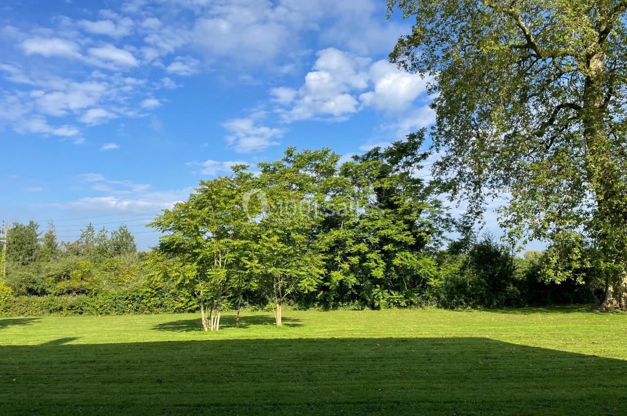 Pelouse verte avec quelques arbres sous un ciel bleu parsemé de nuages légers.
