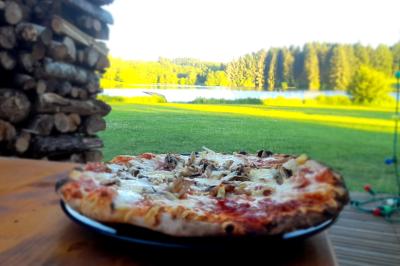 Tente tipi blanche installée sur une pelouse avec une table de pique-nique à proximité, entourée de verdure.