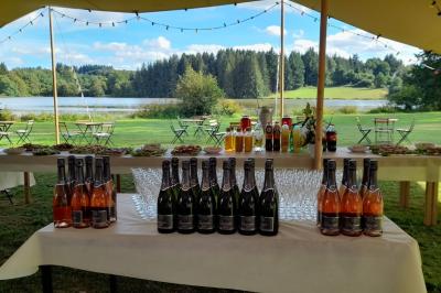 Tente tipi blanche installée sur une pelouse avec une table de pique-nique à proximité, entourée de verdure.