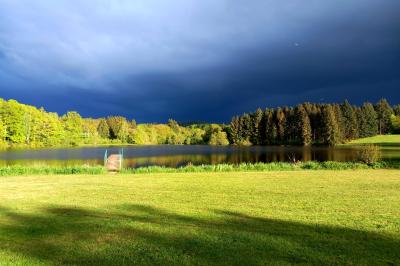 Tente tipi blanche installée sur une pelouse avec une table de pique-nique à proximité, entourée de verdure.