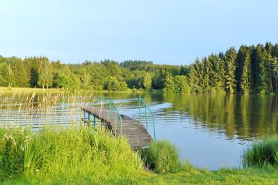 Tente tipi blanche installée sur une pelouse avec une table de pique-nique à proximité, entourée de verdure.
