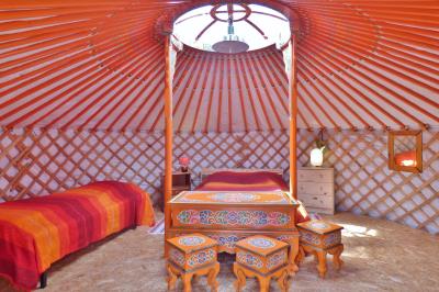 Tente tipi blanche installée sur une pelouse avec une table de pique-nique à proximité, entourée de verdure.