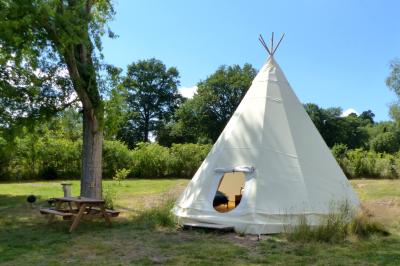 Tente tipi blanche installée sur une pelouse avec une table de pique-nique à proximité, entourée de verdure.