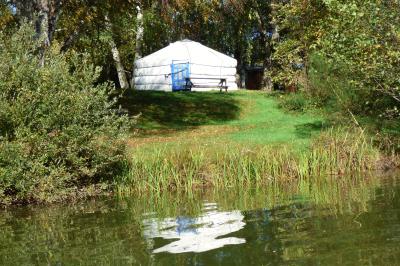 Tente tipi blanche installée sur une pelouse avec une table de pique-nique à proximité, entourée de verdure.