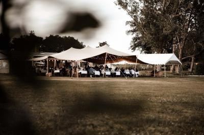 Cabane en bois avec toit en tuiles grises, grandes fenêtres et porte vitrée, située dans un espace arboré.