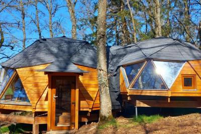 Cabane en bois avec toit en tuiles grises, grandes fenêtres et porte vitrée, située dans un espace arboré.