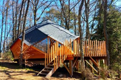 Cabane en bois avec toit en tuiles grises, grandes fenêtres et porte vitrée, située dans un espace arboré.