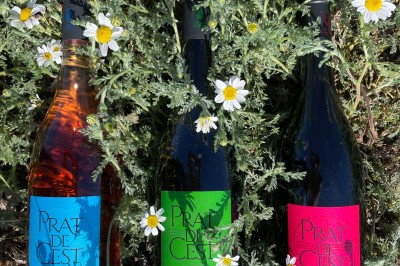 Trois bouteilles de vin aux étiquettes colorées posées sur un sol fleuri de marguerites.