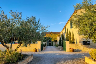 Trois bouteilles de vin aux étiquettes colorées posées sur un sol fleuri de marguerites.