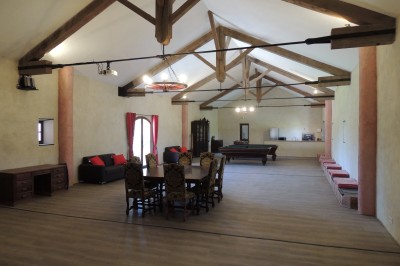 Trois bouteilles de vin aux étiquettes colorées posées sur un sol fleuri de marguerites.