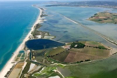 Miniature Bureau des Congrès de Montpellier #9 Photo Bureau des Congrès de Montpellier #9