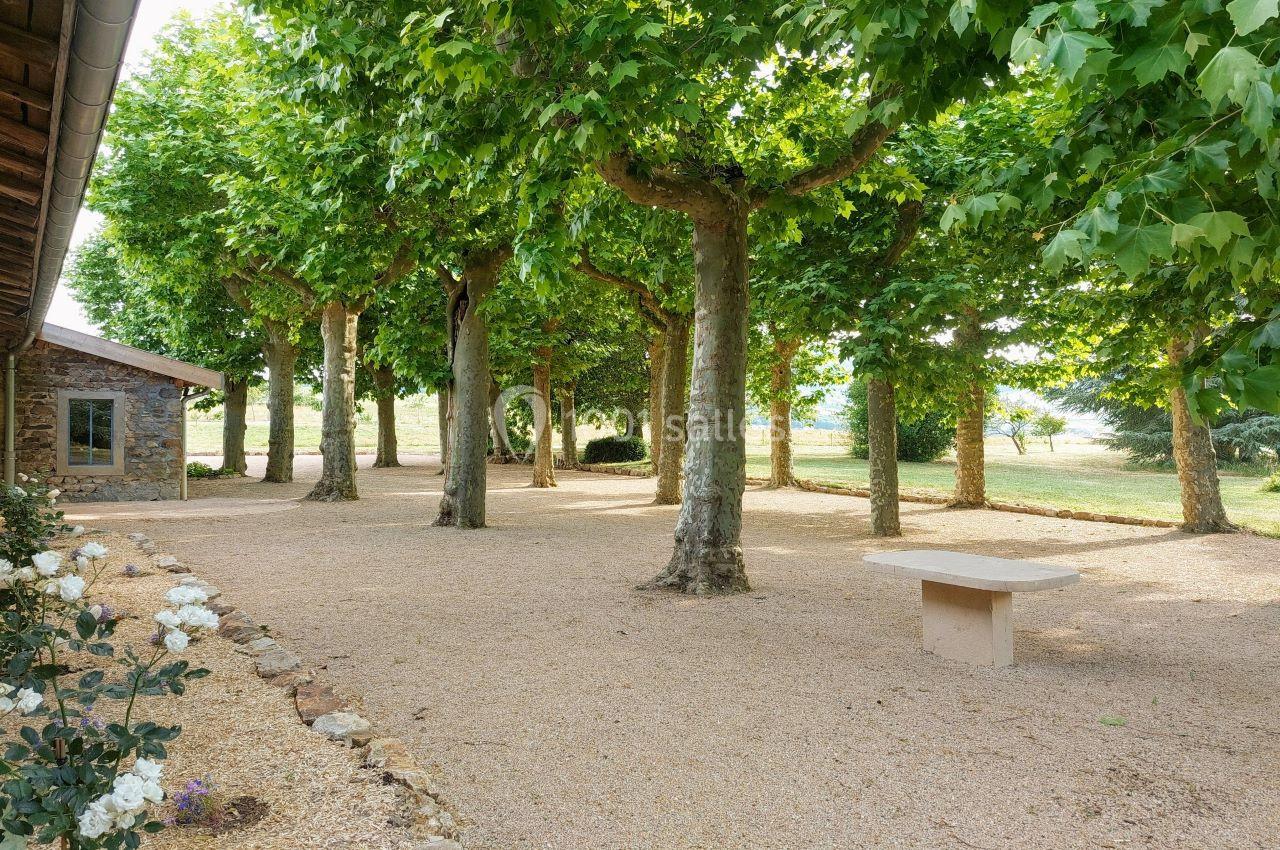 l'allée des platanes