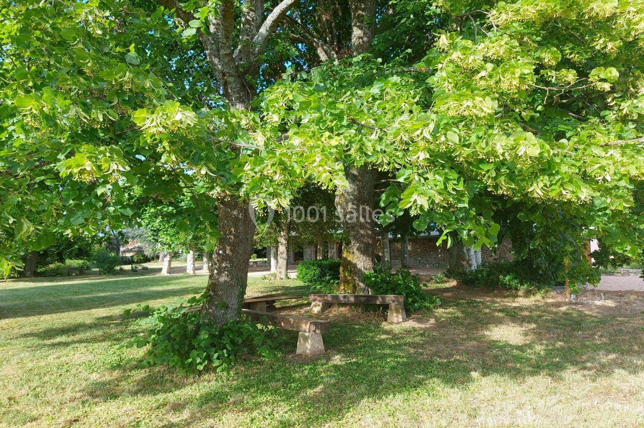 les tilleuls centenaires