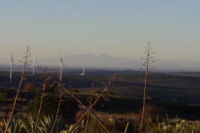 Location salle Aumelas (Hérault) - Carré Sainton #27
