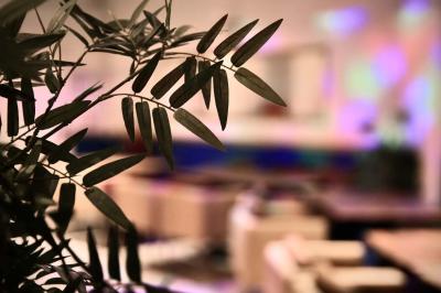 Miniature Location salle Champigny-sur-Marne (Val-de-Marne) - Barrio #21 Location salle Champigny-sur-Marne (Val-de-Marne) - Barrio #21