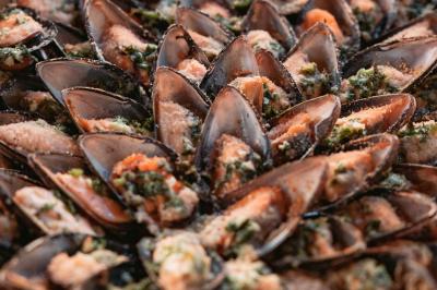 Location salle Fos-sur-Mer (Bouches-du-Rhône) - Les Jardins de Sacha by Provence Traiteur #39