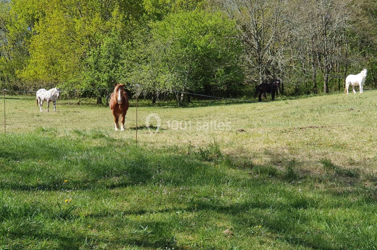 Location salle Puy-l'Évêque (Lot) - Domaine du Cardou #16 Location salle Puy-l'Évêque (Lot) - Domaine du Cardou #16