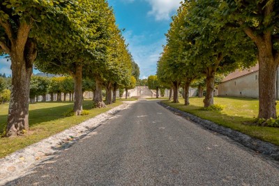 Grand bâtiment classique entouré d'une pelouse bien entretenue, avec un arbre imposant et un petit bassin au premier plan.
