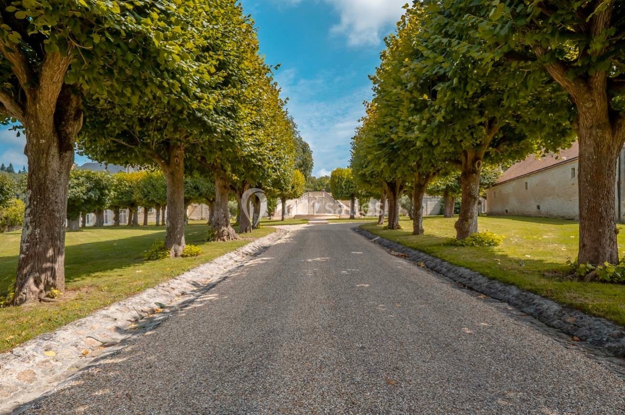 Allée bordée d'arbres taillés, menant à un mur en pierre sous un ciel bleu dégagé.