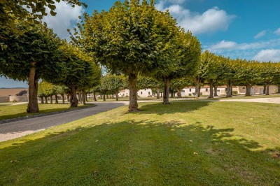 Grand bâtiment classique entouré d'une pelouse bien entretenue, avec un arbre imposant et un petit bassin au premier plan.